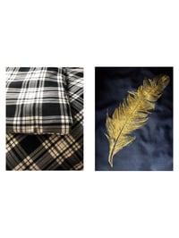 Image 3 of DOOVEDAYS