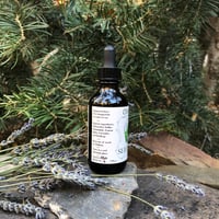 Image 2 of Sleepy Bear | tincture 