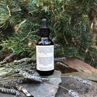 Image 3 of Sleepy Bear | tincture 