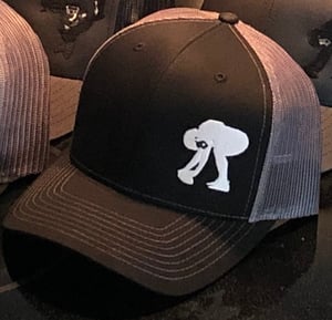 Image of Kornblue Snapping Logo Hat