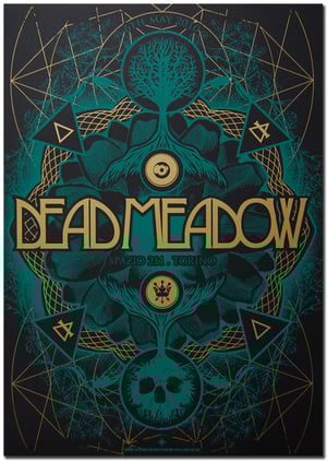 Image of DEAD MEADOW - Torino 2010