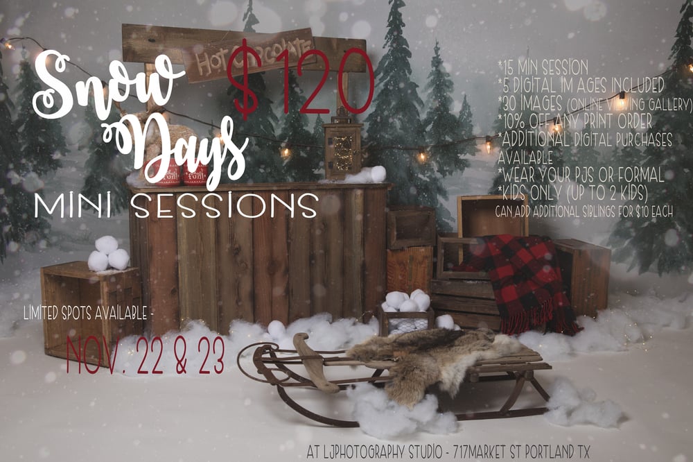 Image of Snow Days Mini Sessions 2019