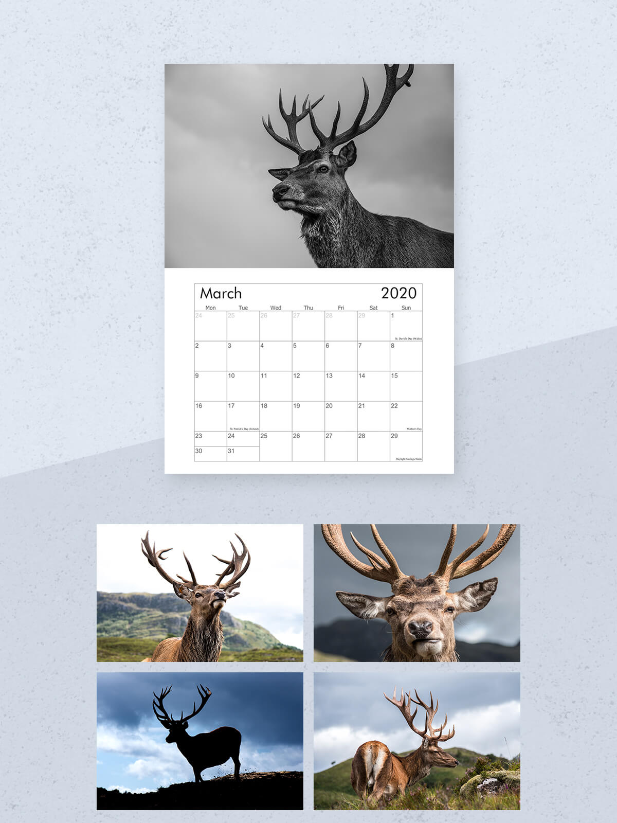 Image of 2020 Stag Calendar (Mini 16x21cm) - Single