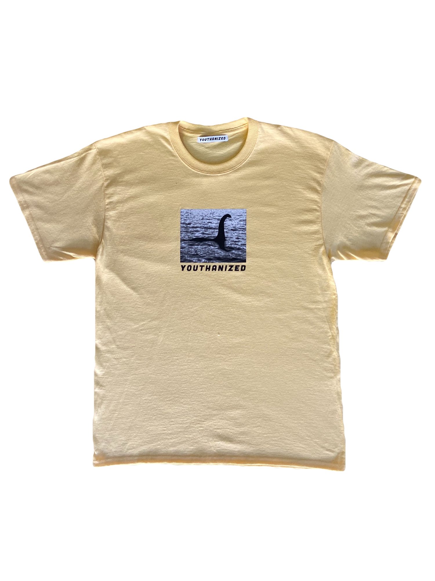 Image of Nessie T shirt