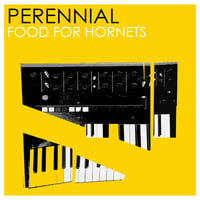 [RSR 021]  Perennial - Food For Hornets EP Cassette Tape