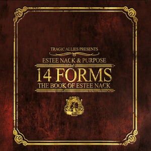 Image of 14 Forms: The Book of Estee Nack CD
