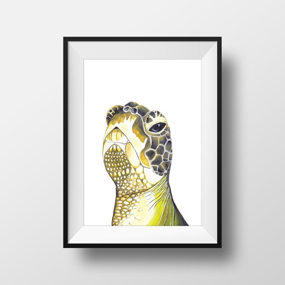 Image of The Turtle *Original*