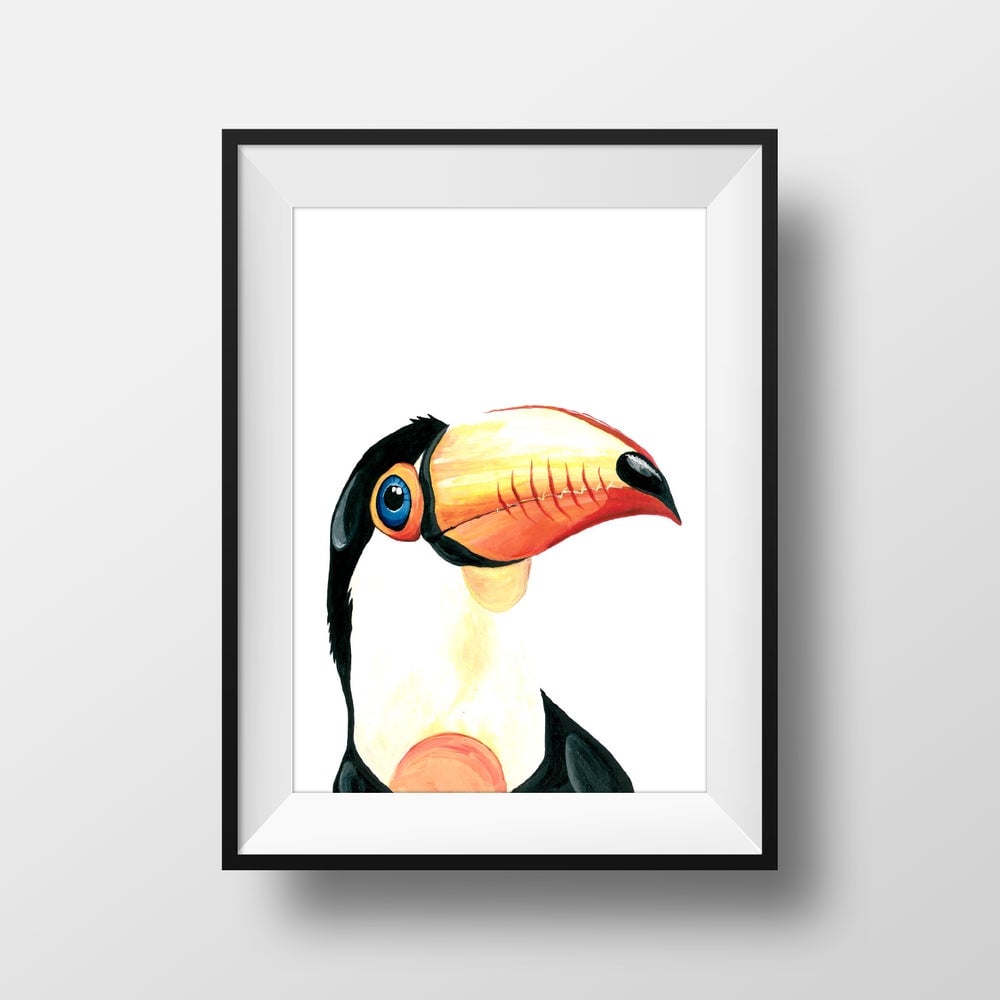 Image of The Toucan *Original*