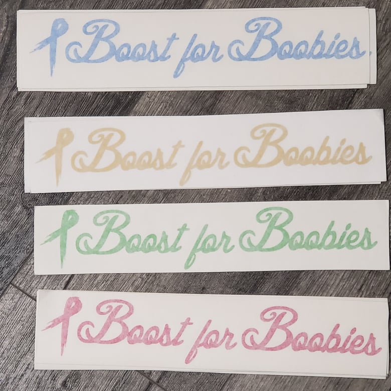 Image of 11in boostforboobies color