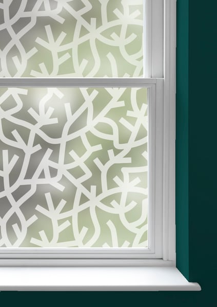 Image of A Forest Window Film
