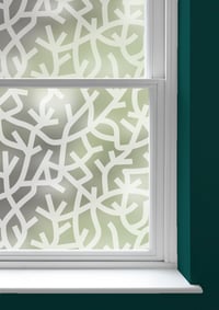 A Forest Window Film