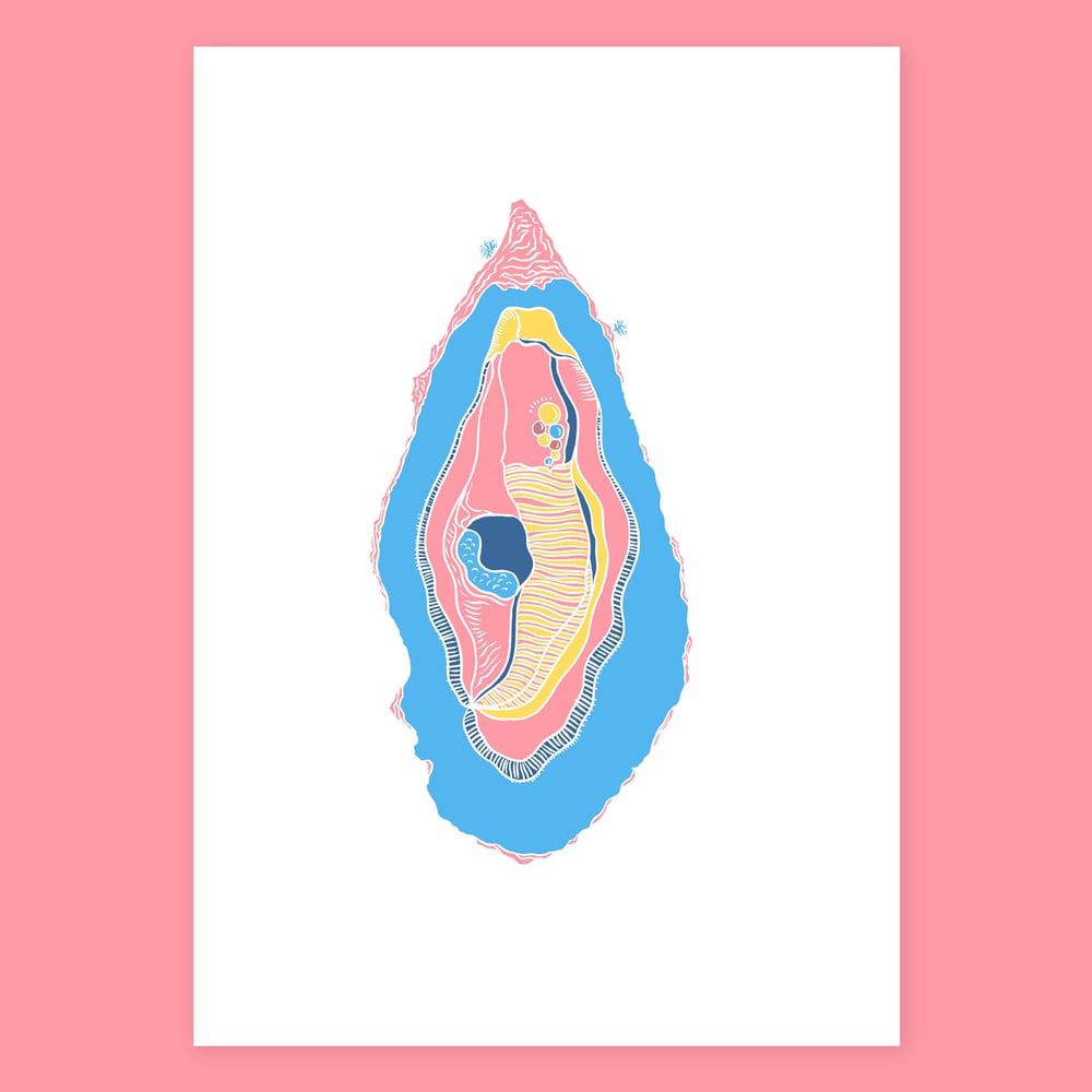 Image of Pink Oyster Open
