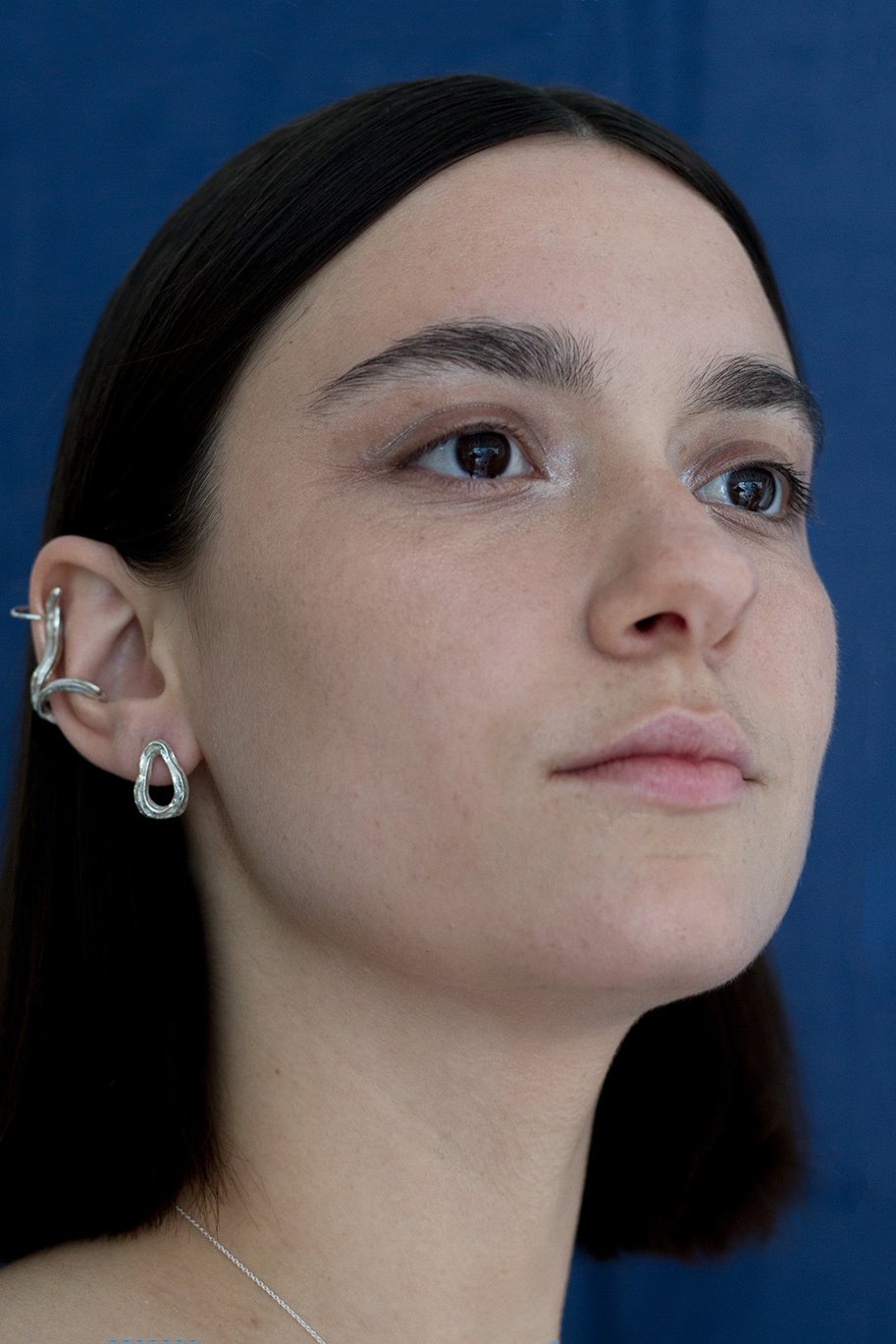 Image of ovata earrings
