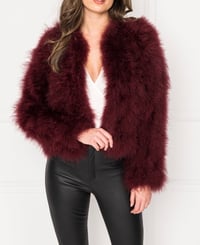 Image 1 of Wine Red Feather Jacket 