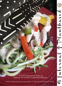 Internal PlantBased Recipe Book