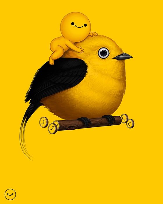 Image of Wire-tailed Manakin (yellow) 