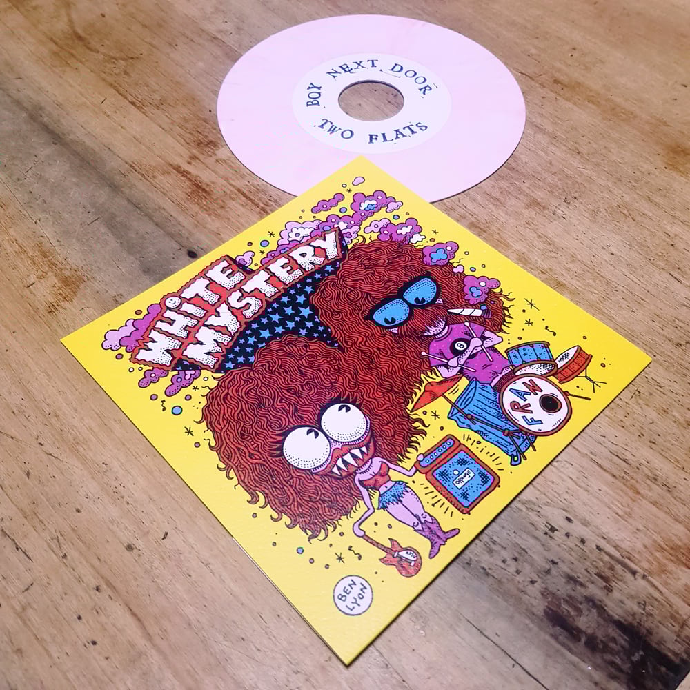 Image of WHITE MYSTERY "BOY NEXT DOOR/TWO FLATS" ONESIDED 7"!