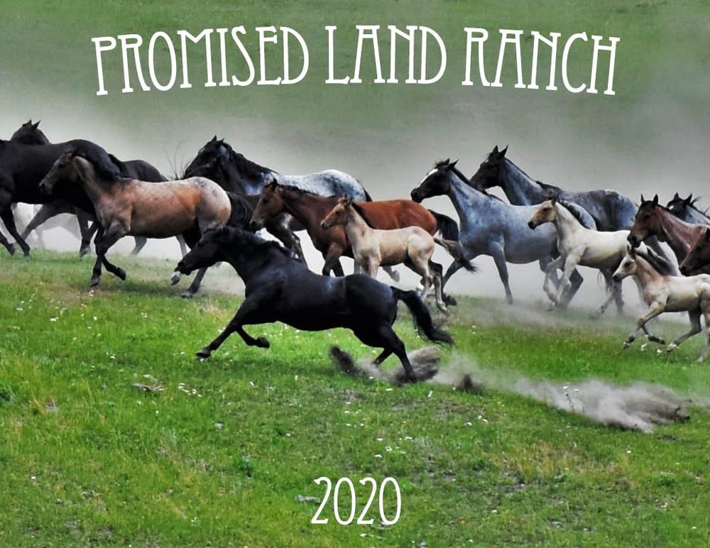 2020 Promised Land Ranch Calendar | Joel Kretz Art