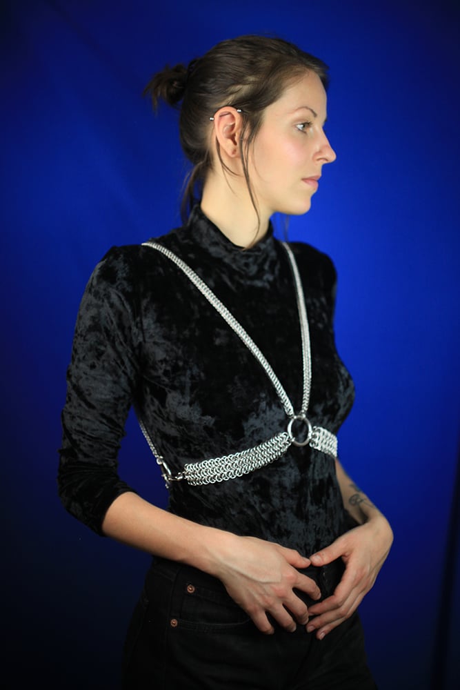 Image of REVERSIBLE harness