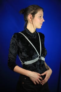 Image 2 of REVERSIBLE harness