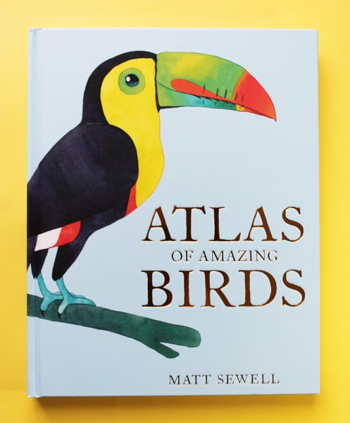 Image of Atlas Of Amazing Birds - Signed/Drawn Hardback