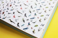 Image 2 of Atlas Of Amazing Birds - Signed/Drawn Hardback