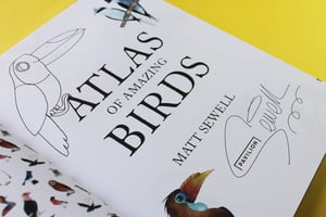 Image of Atlas Of Amazing Birds - Signed/Drawn Hardback