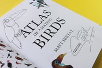 Image 3 of Atlas Of Amazing Birds - Signed/Drawn Hardback