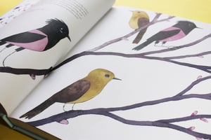 Image of Atlas Of Amazing Birds - Signed/Drawn Hardback
