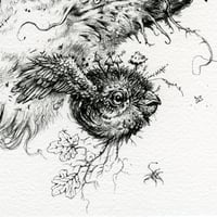 Image 2 of Sú Talún Fiáin - Original