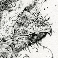 Image 4 of Sú Talún Fiáin - Original