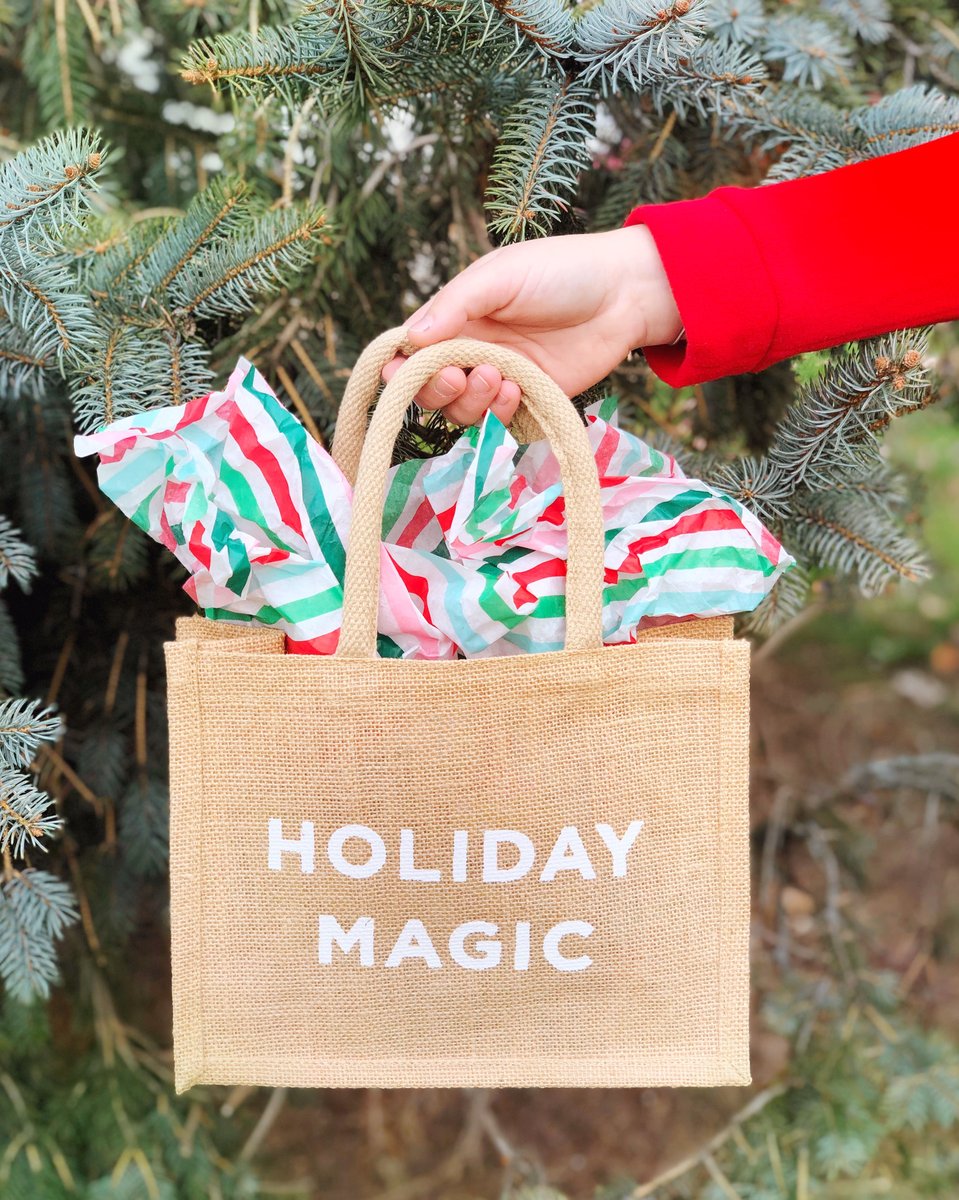 Holiday Magic Reusable Holiday Gift Bag Swag Bags Co.