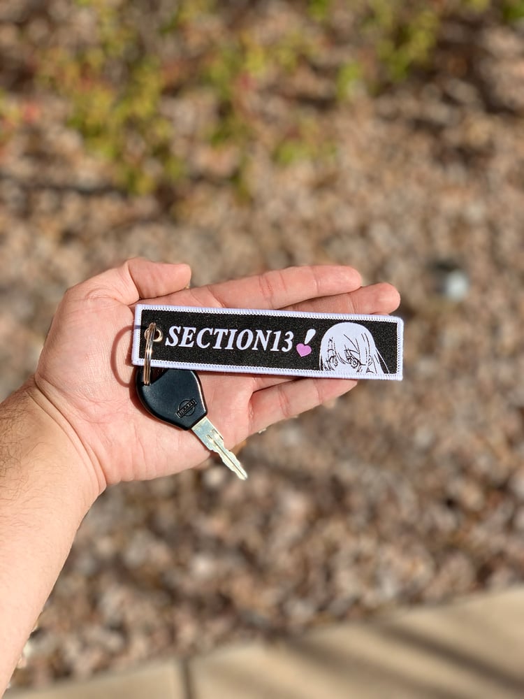 Image of Section 13 logo jet tag