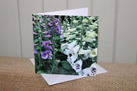 Banstead Foxgloves Notecard