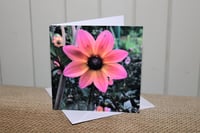 Banstead Dahlia Notecard