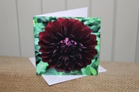 Wallington Dahlia Notecard