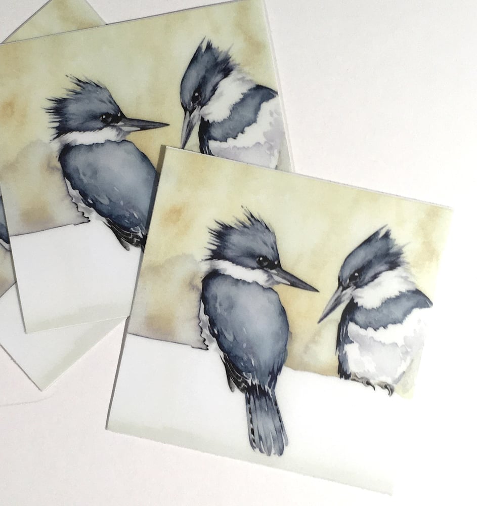 Image of Belted Kingfishers ~ Vinyl STICKERS
