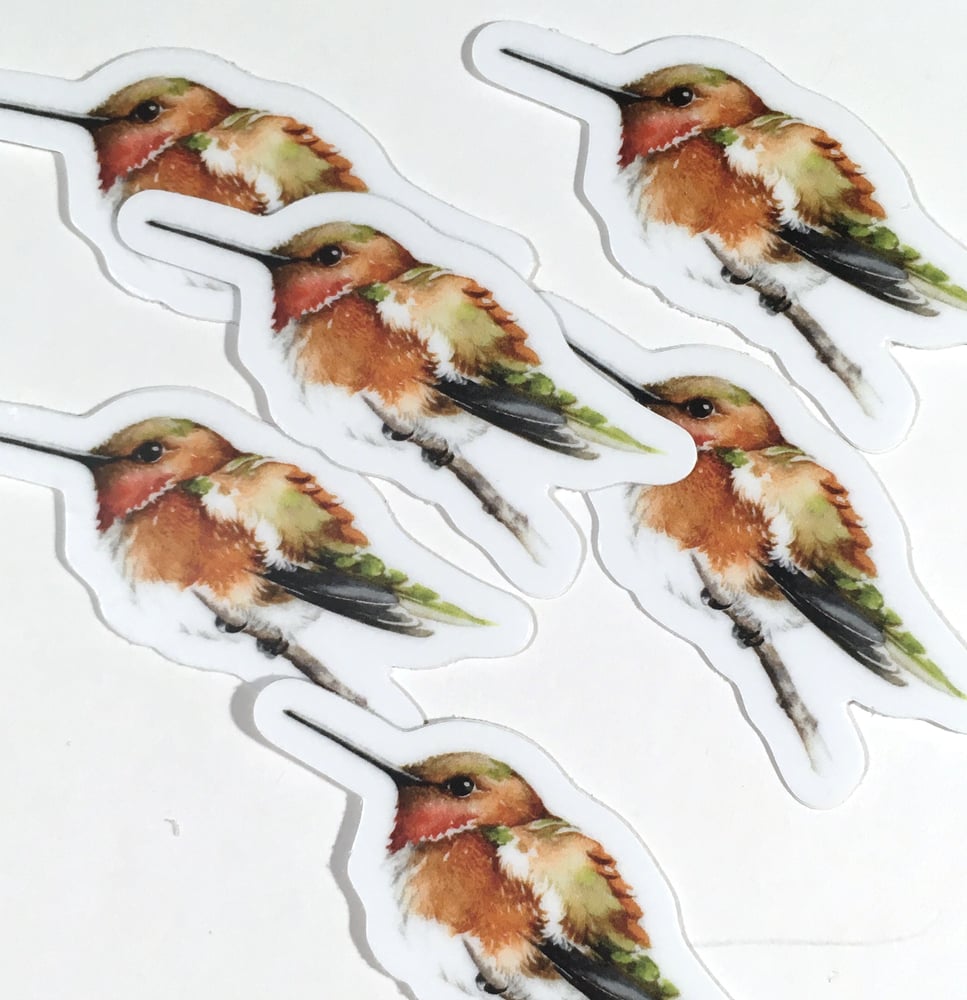 Image of Rufus Hummingbird ~ Vinyl STICKERS