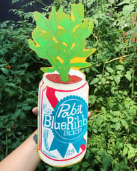 Image 3 of Pick-A-Beer Succulent 