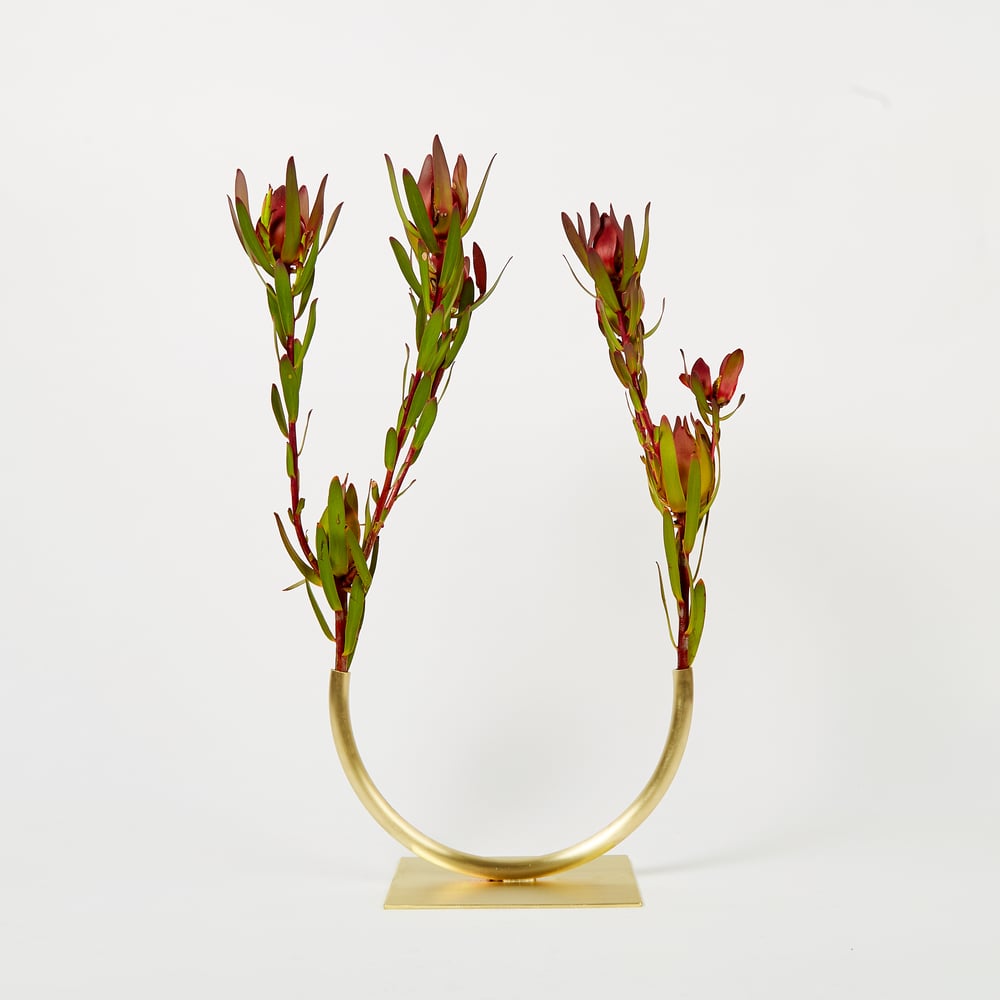 Image of Vase 1088 - Glass Half Full Vase (for fine/medium flower stems)