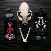 Image 1 of ICARUS TAROT