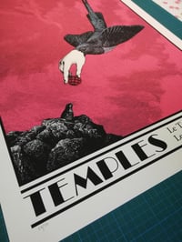 Image of TEMPLES gigposter Paris 2019