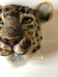 Image 2 of Geoff 