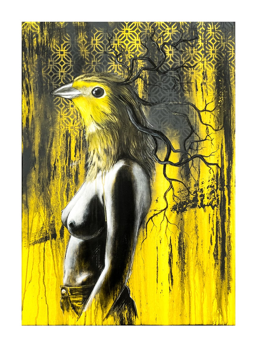 Image of Emberiza Citrinella - TIRAGE FINE ART