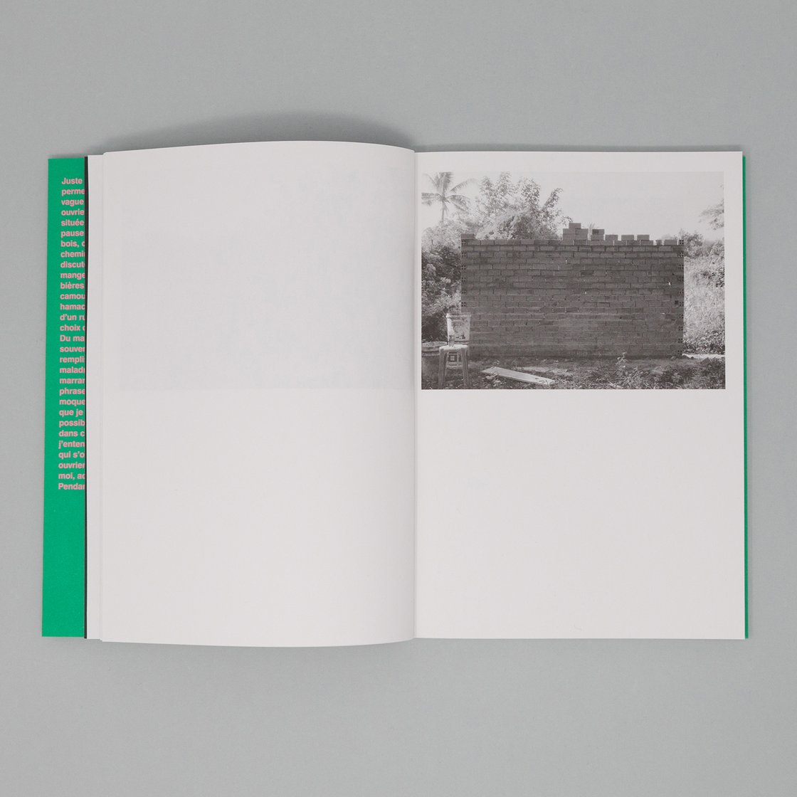 Image of Building a wall — a book by Roméo Julien