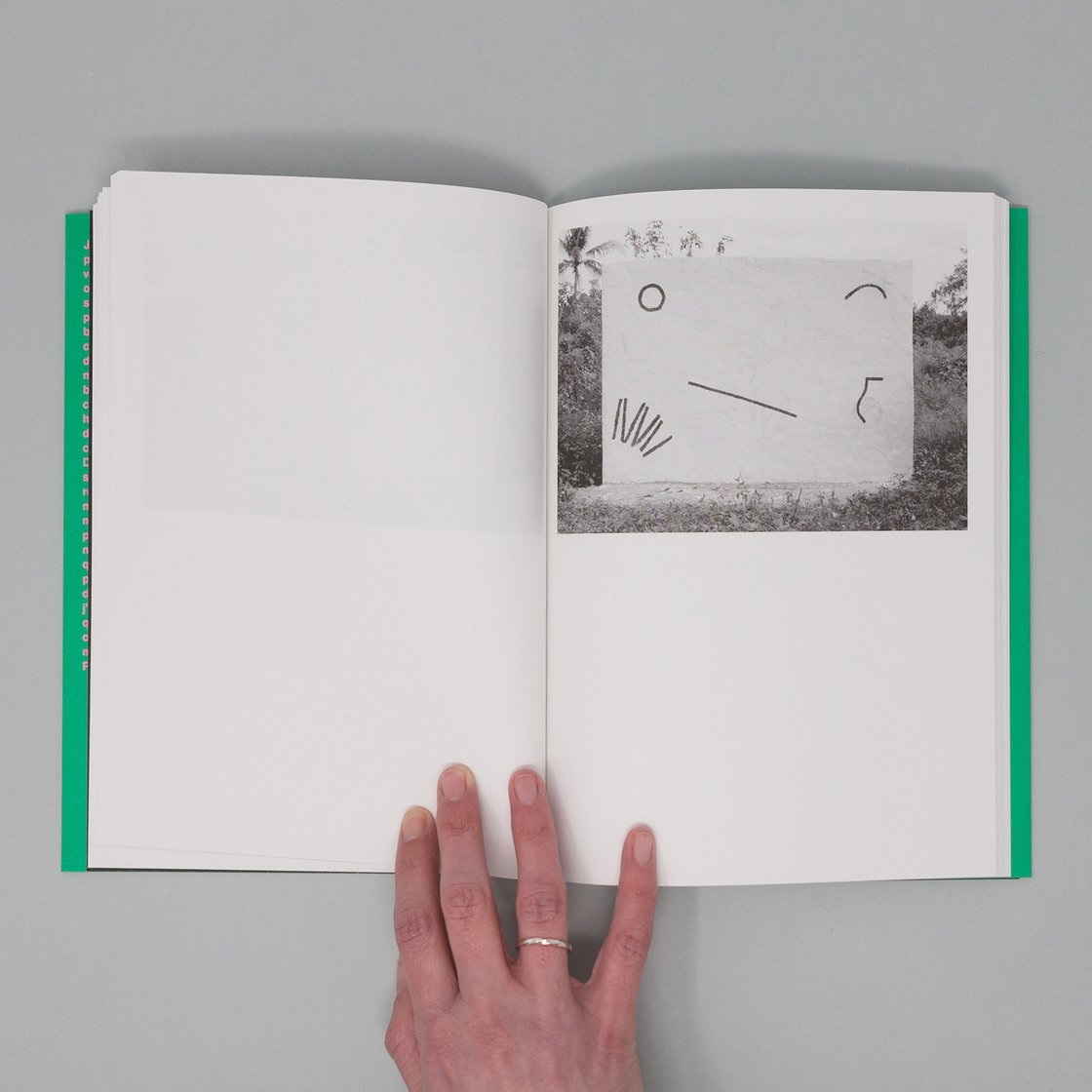 Image of Building a wall — a book by Roméo Julien