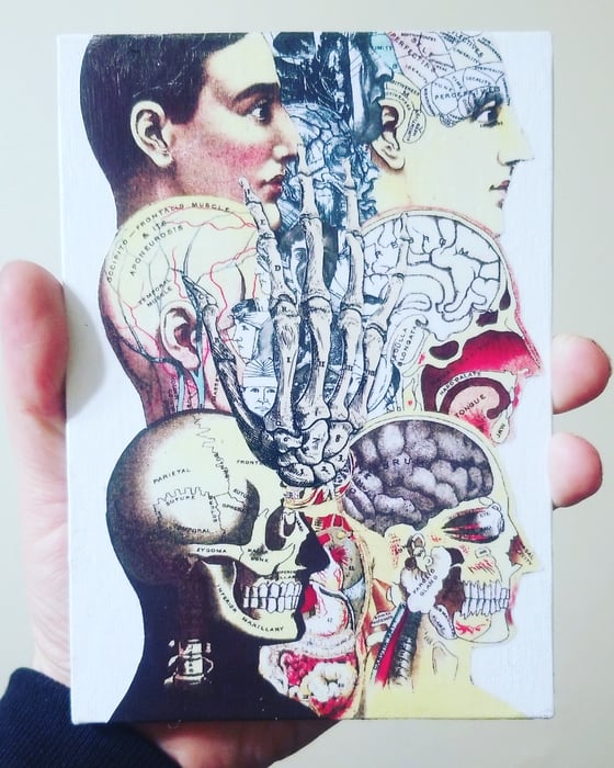 Image of 5x7 body horror collage