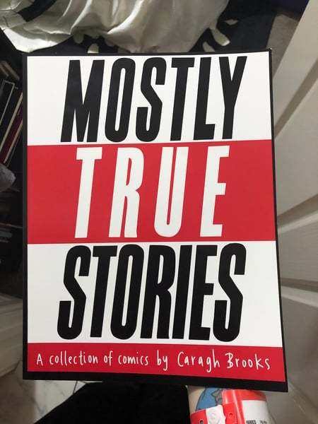 Image of Mostly True Stories