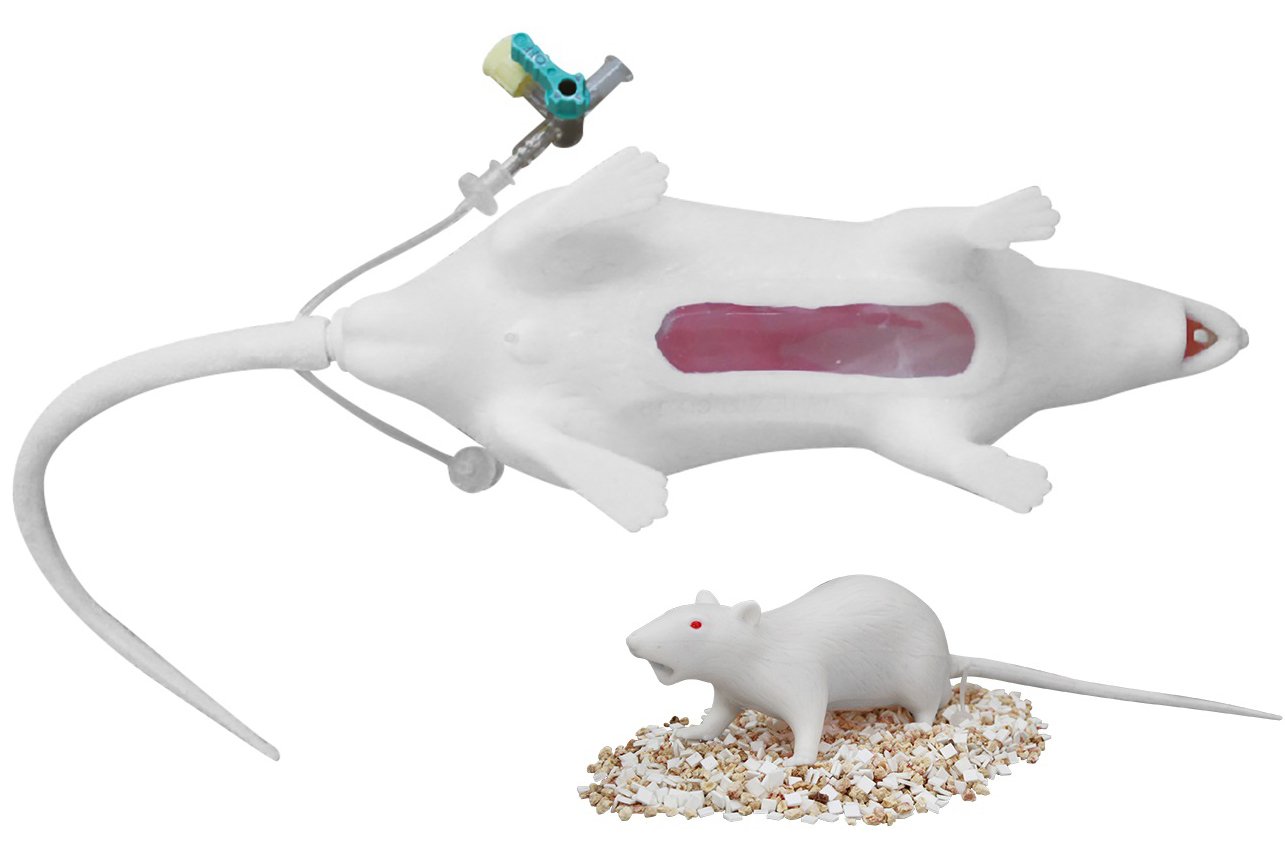 Image of NEW MODEL Natsume Rat