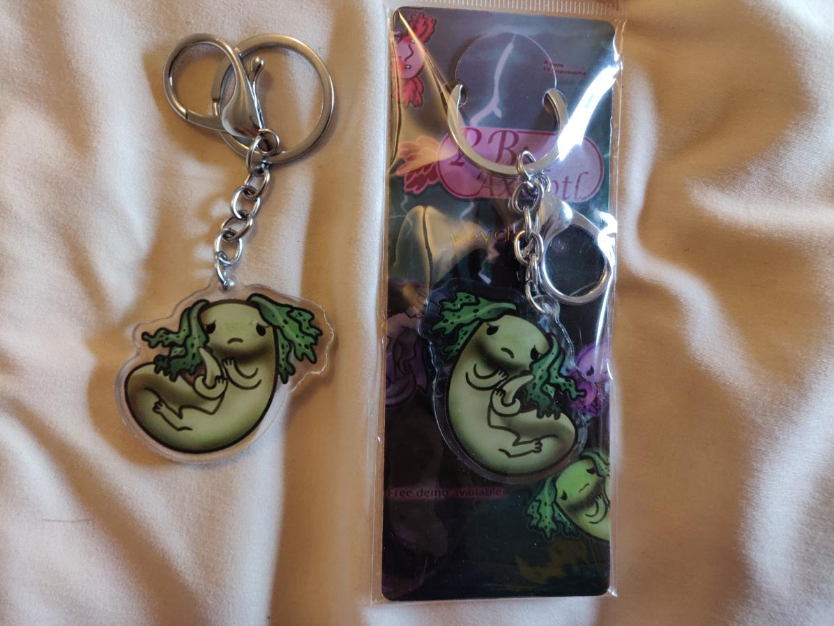 Image of RB: Axolotl Keychain: Liam